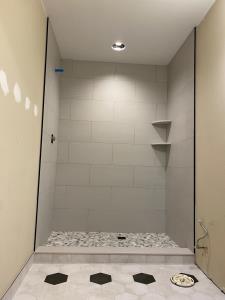 Modern Basement Bathroom