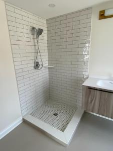 Port Huron Contemporary Guest Bath